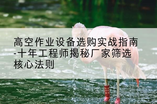 滨江剪叉式升降机厂家-高空作业设备选购实战指南-十年工程师揭秘厂家筛选核心法则