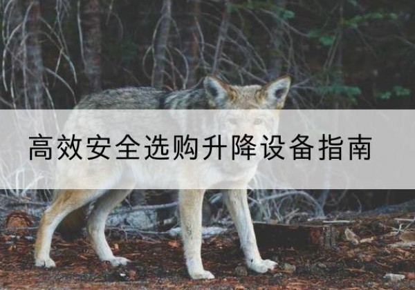 滨江升降货梯厂家推荐-*安全选购升降设备指南