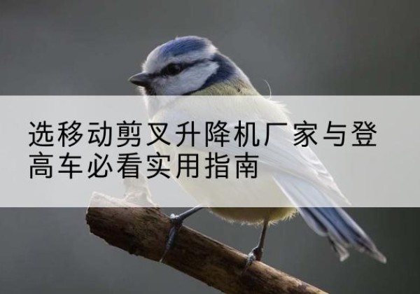 滨江电动升降机厂家-选移动剪叉升降机厂家与登高车必看实用指南