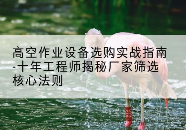 滨江剪叉式升降机厂家-高空作业设备选购实战指南-十年工程师揭秘厂家筛选核心法则